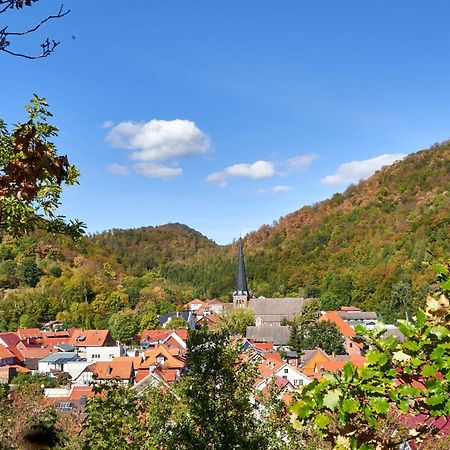 Harztor Poolhaus Im Suedharzヴィラ エクステリア 写真
