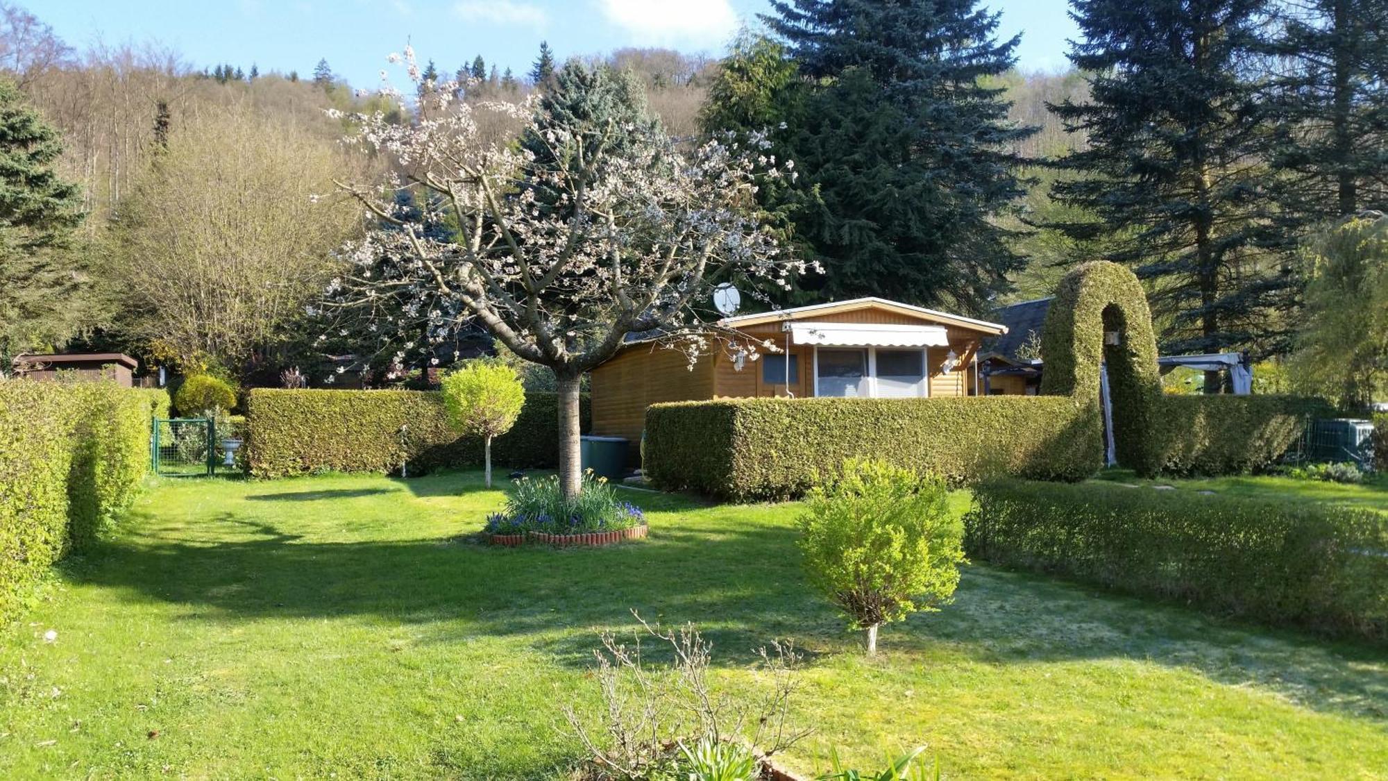 Harztor Poolhaus Im Suedharzヴィラ エクステリア 写真